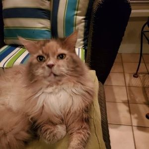 Meet your Posher, Carolyn